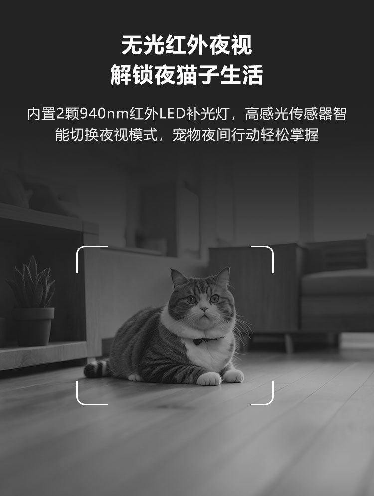 Smart Pet Feeder detail